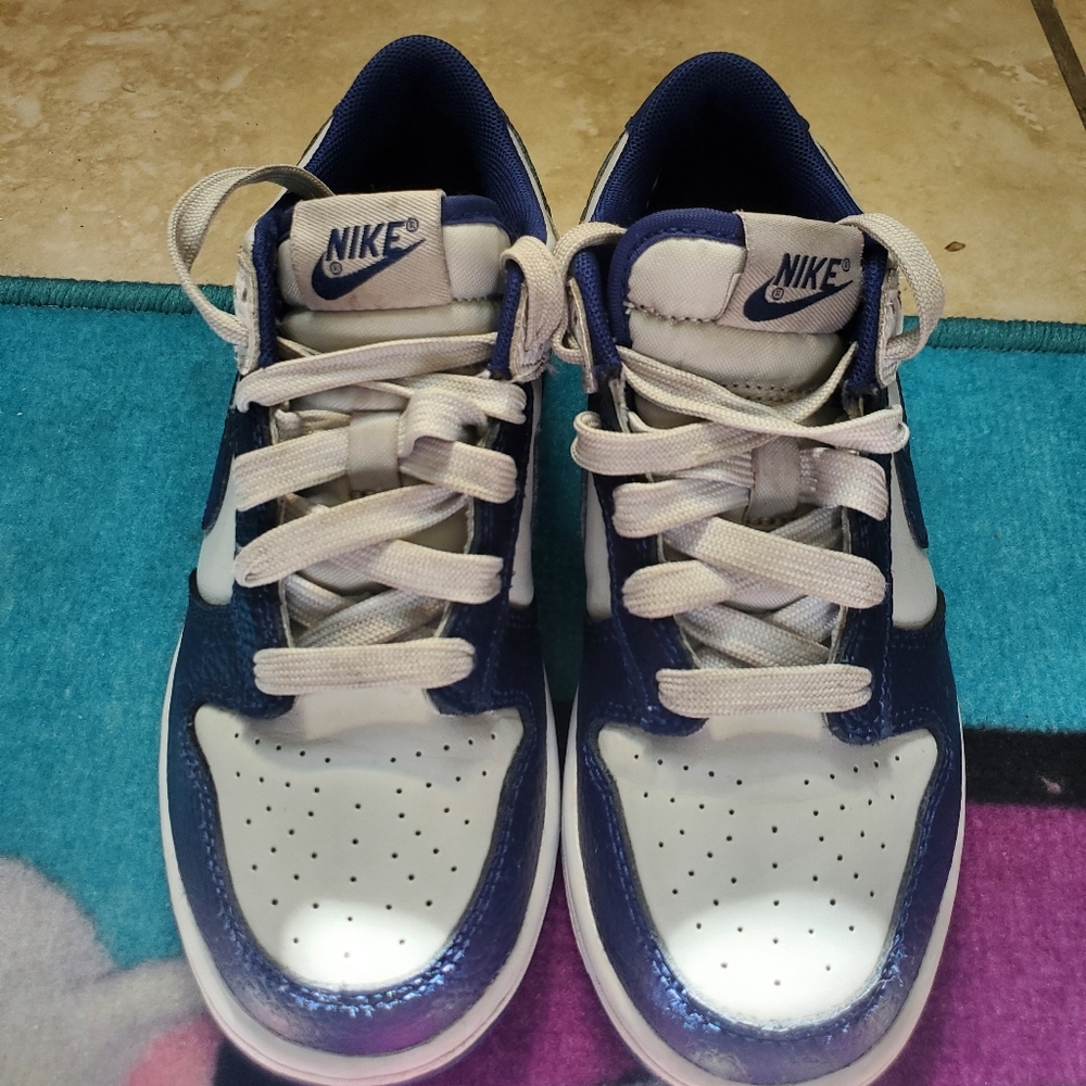 Nike Dunk